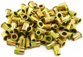 Astro RN10M 100pcs M10 10mm Steel Rivet Nuts
