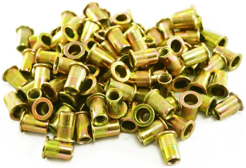 Astro RN10M 100pcs M10 10mm Steel Rivet Nuts