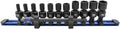 Astro 78111 12pc 1/4" Square & Hex Drive Magnetic Univ. 6pt