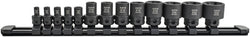 Astro 78313 13pc 1/4" & 3/8" Drive External Torx Nano Impact