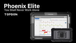 Artimini/ Phoenix / Phoenix Lite One-Year Update