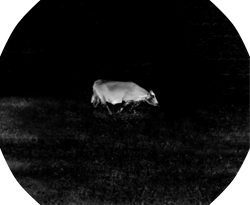 TS004 Thermal Monocular Camera