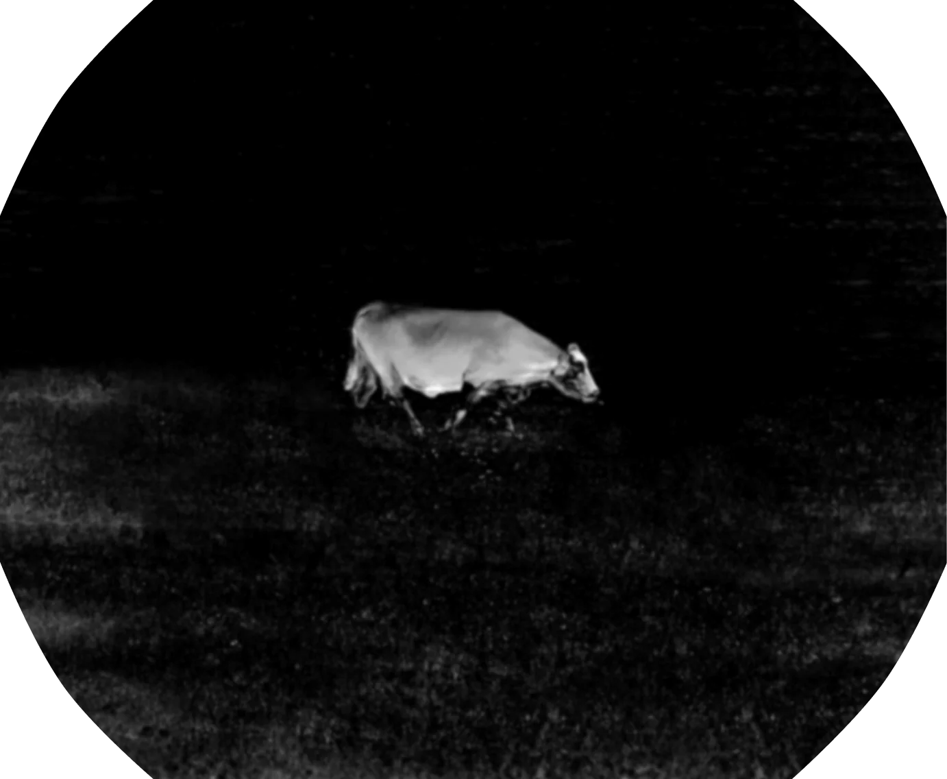 TS004 Thermal Monocular Camera