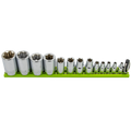 Elite 13pc. Torx Plus Socket Set, EP4 Thru EP24, package on a Black Magrail